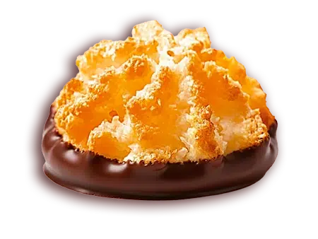 Kokosky s čokoladou